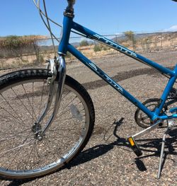Vintage 1988 Schwinn Cruiser Supreme Bike - Blue