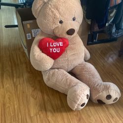 Big Big Teddy Bear