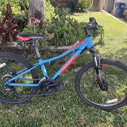 giant mountain bike in great shape 24” giant mountain bike in great shape