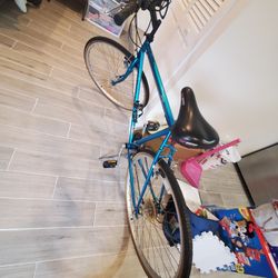 Univega Activa Action Bike