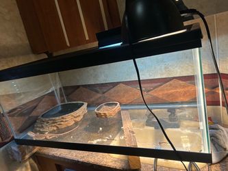 20 gallon tank EVERYTHING comes included