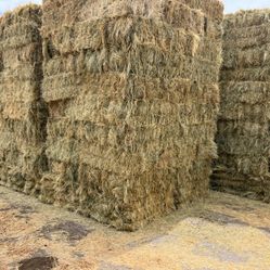 Teff Hay Bales