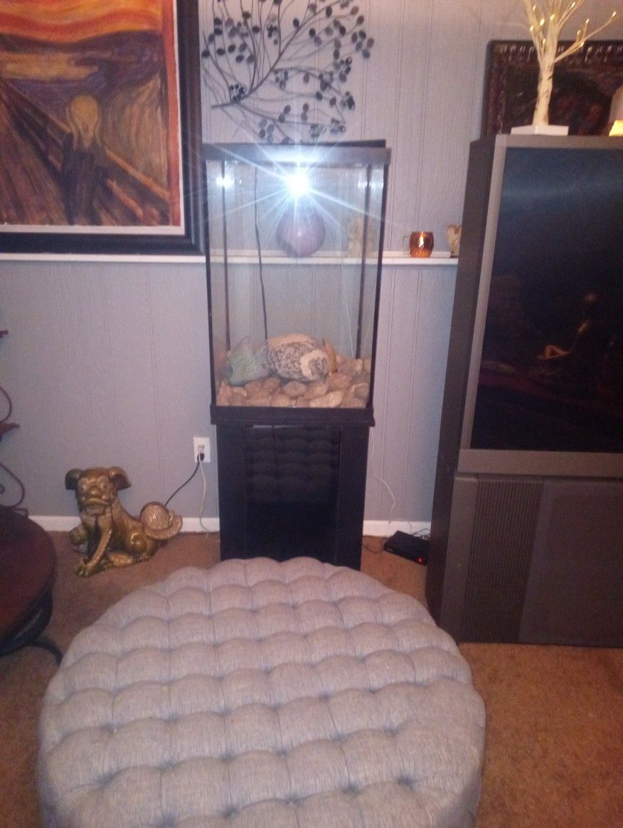 75 gallon fish tank