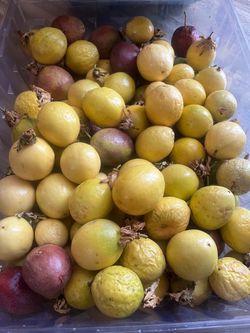 passion fruit