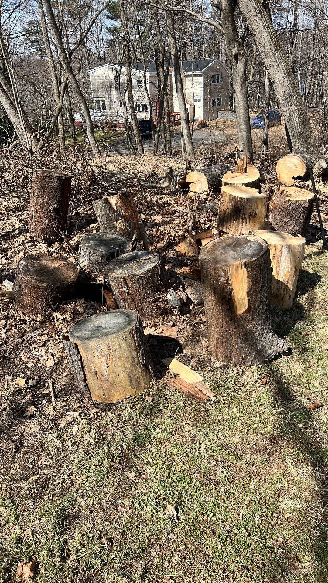 Tree Rounds12”-24”