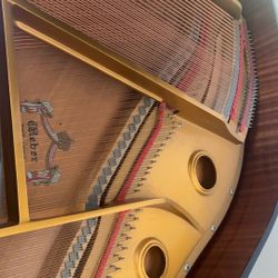    Weber WG-50 Baby Grand Piano 4'11" Polished Ebony