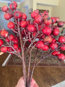 5 stems of Pomegranate