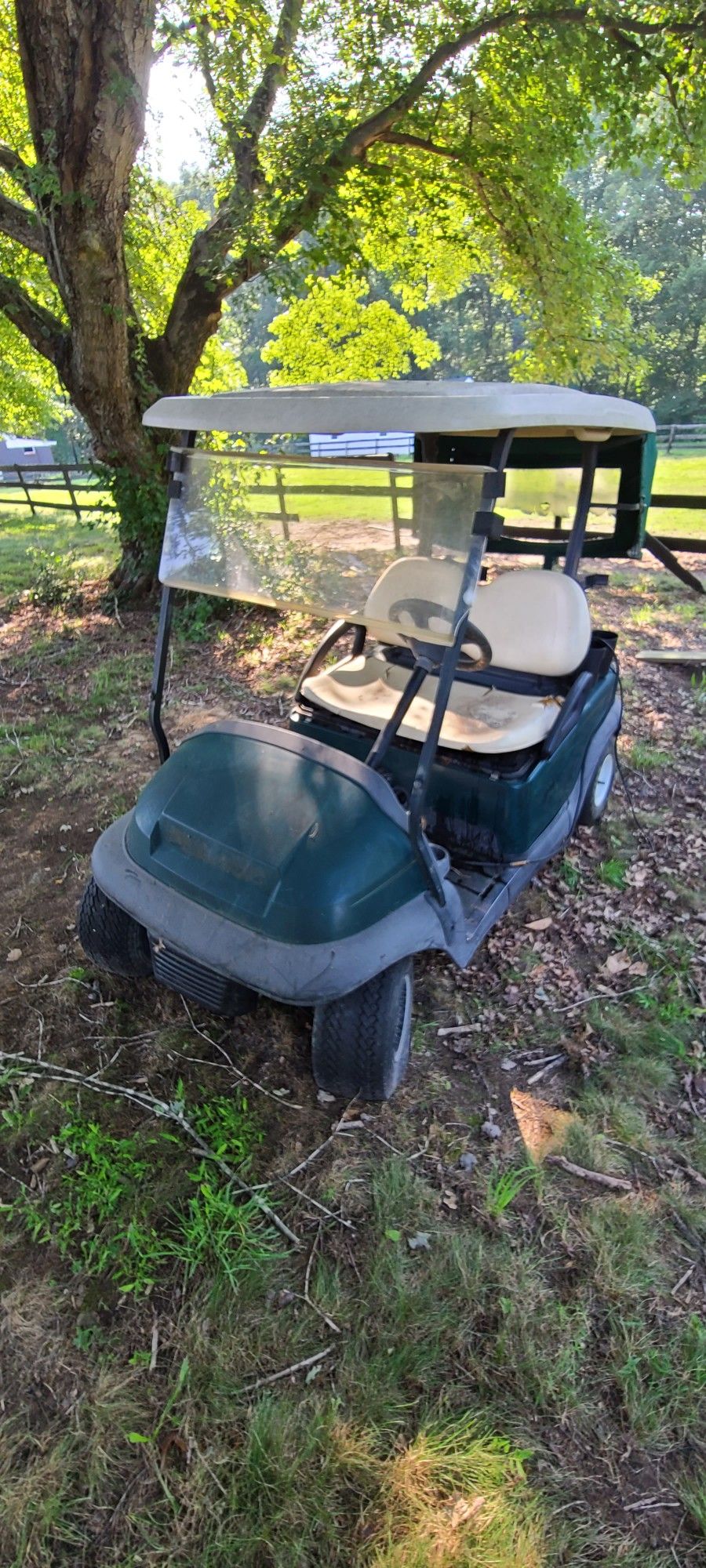 Electronic Club Golf Cart