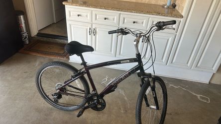 Trek mountain bike