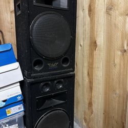 Jensen Speaker 