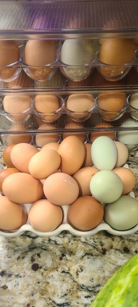 Fresh Dozen