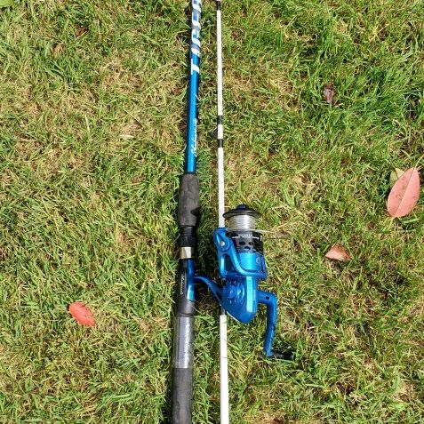 Shakespeare TIGER 6'6 Medium Heavy Action Fishing Rod/pole With Reel Combo  for Sale in Sacramento, CA - OfferUp