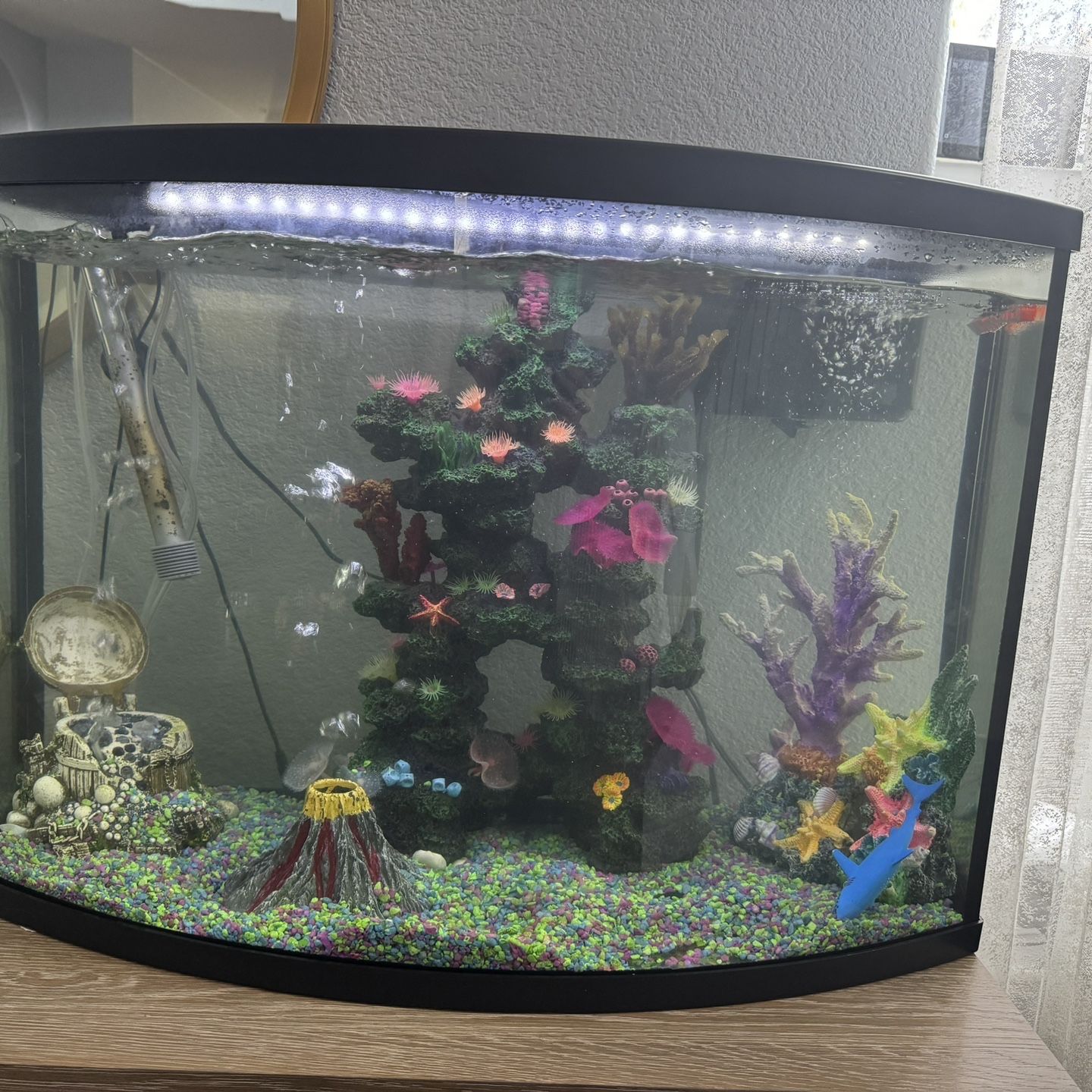 36 Gallons Fish Tank With Accessories 