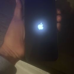 Iphone 13 Pro Max And The Iphone Rx