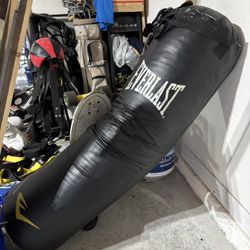 *Like New* Everlast Boxing Punching Bag