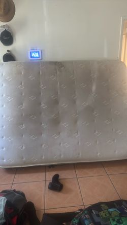 Free queen mattress