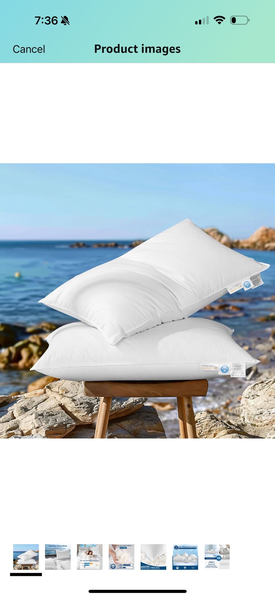 Canadian Luxury Goose Down Pillow King Size - 1050 Fill Power, 100% Cotton with Teflon Shell- Ultra Comfort Sleep Pillows - Bed Pillows for Back, Stom