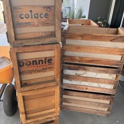 Vintage Produce Woot Crates— Records / Vinyl Crate