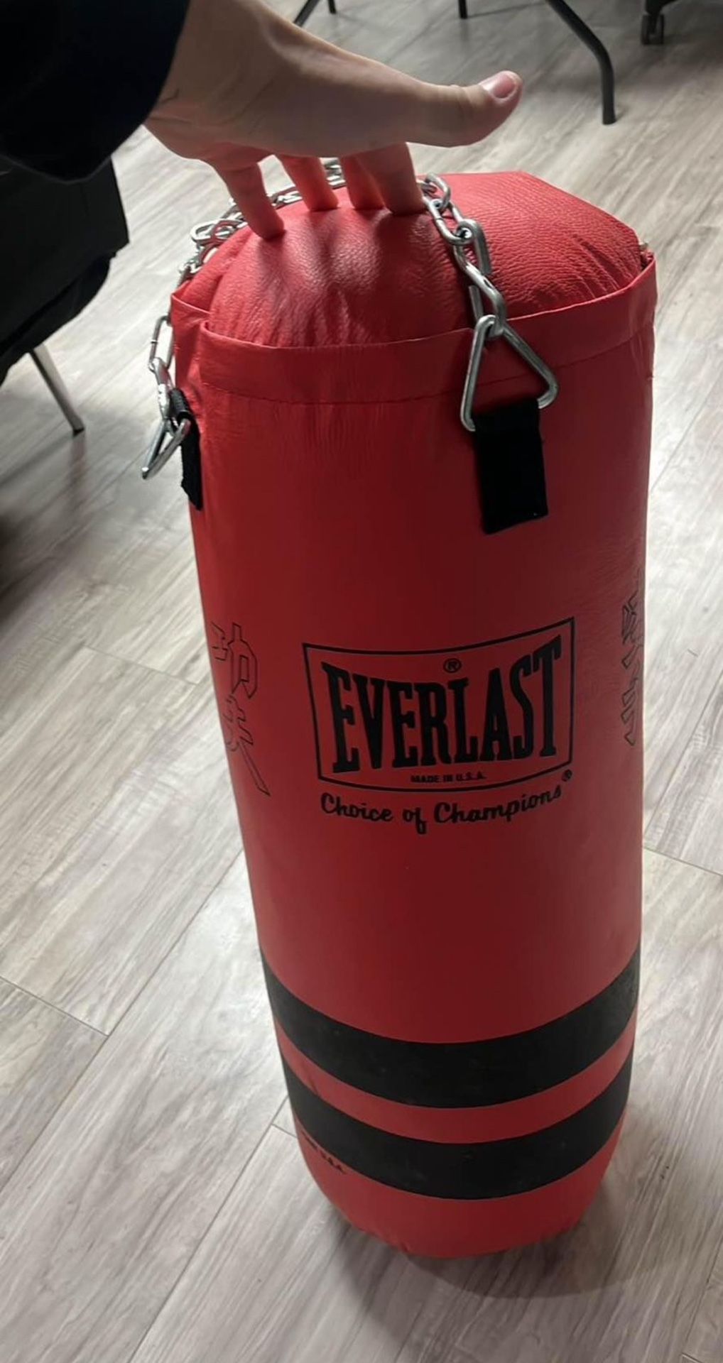 Everlast Punching Bag (Red)