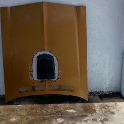 1970 Pontiac Firebird Hood Trans Am