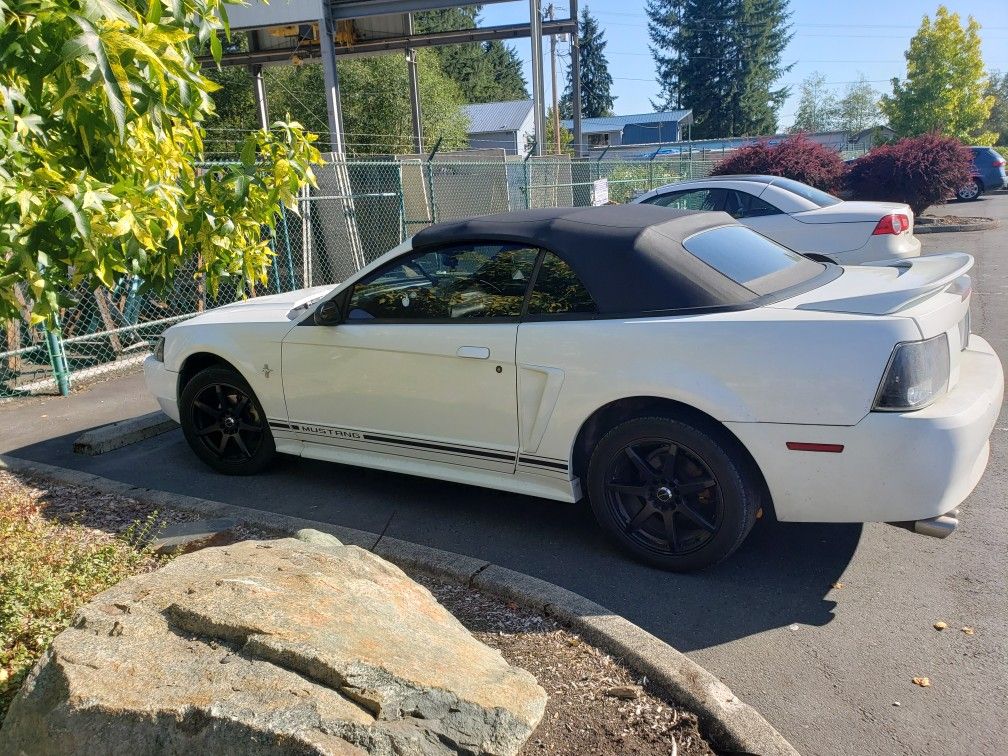 2000 Ford Mustang