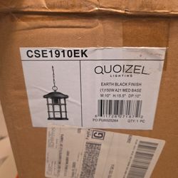 Quoizel Outdoor Earth Black Pendant Light