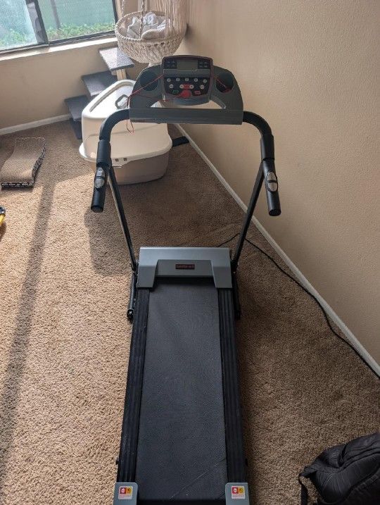 Treadmill Walking 