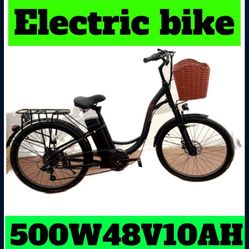 Electric Bike Flash Sale!