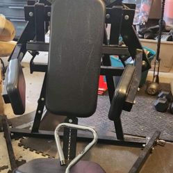 Hammer Strength ISO Side Lateral Raise / Side Delt - Like New- Commercial Gym Equipment 