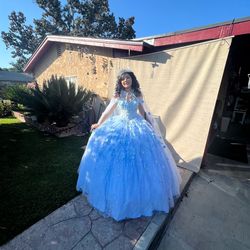 Quince Dress