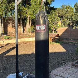 Punching Bag & Stand 