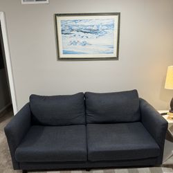 Couch (Perfect For Small Apartment)