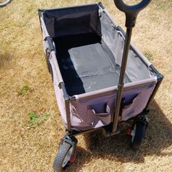 Radio Flyer Wagon.Look.another One!
