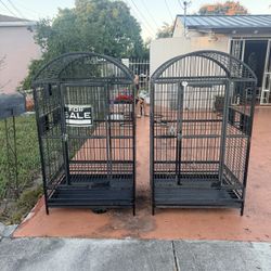 Parrot Cage