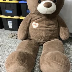 Free Huge Teddy Bear. 