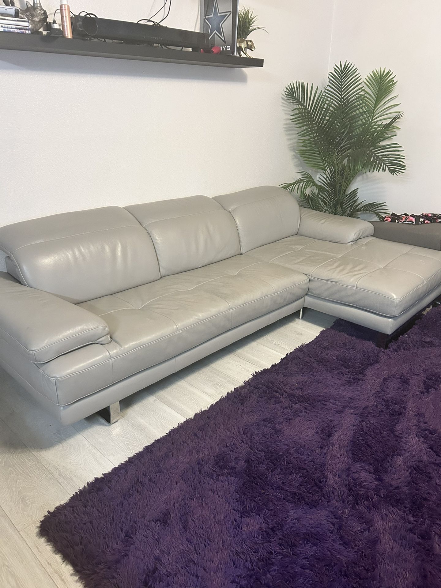 Luxury Couch