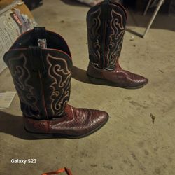 Python Skin Cowboy Boots