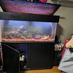75 Gallon Fish Tank, Stand, Light Bar & A Bunch Of Extra Supplies
