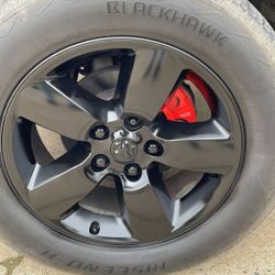 Rim Paint All Colors We Go To You 