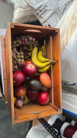 , artificial fruit, and vegetables