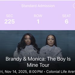 The Boys Is Mine Tour