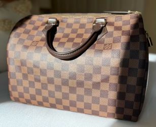 Louis Vuitton Damier Ebene Speedy 30 Handbag
