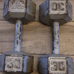30 Lb Dumbbells