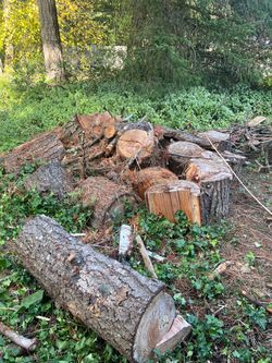 Free Firewood