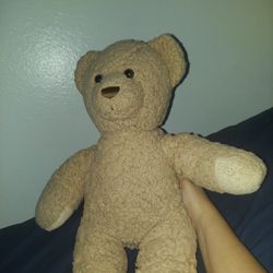 Build A Bear Teddy