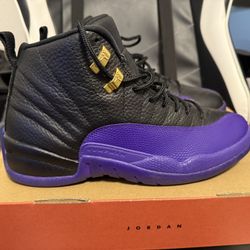 Air Jordan 12 Field Purple Size 8.5 