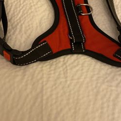 Dog Harness