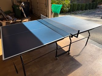 Table Tennis / Ping Pong Table