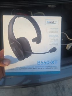 Blue parrot  b550xt