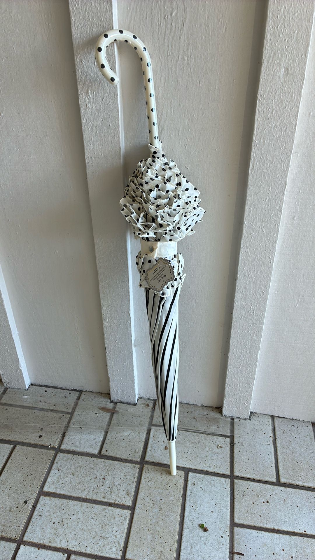 Stunning Umbrella New